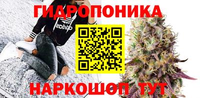mdpv Дубна