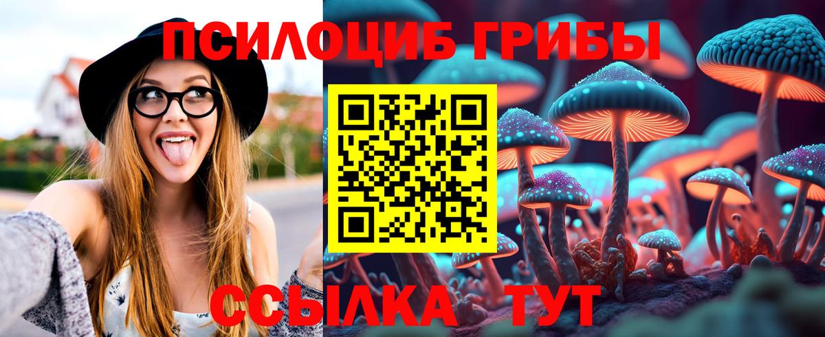 закладка  Вход с VPN  Нефтеюганск  Галлюциногенные грибы Psilocybine cubensis 